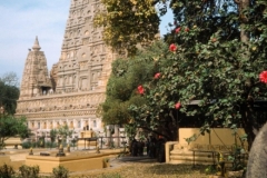Bodhgaya Main Temple