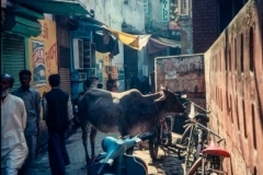 Varanesi Street