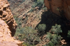 Kings Canyon, Red Centre